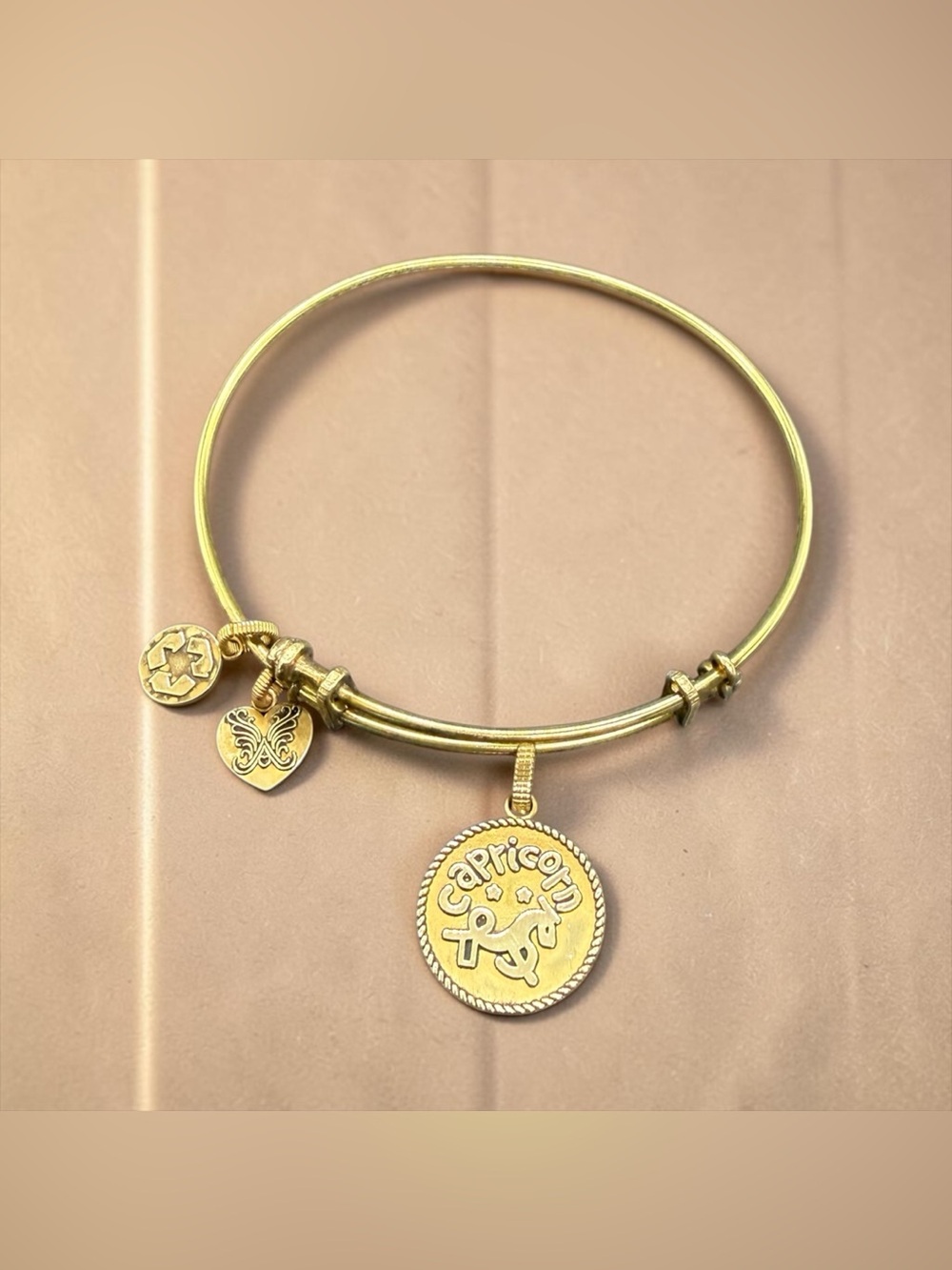 🏷️‼️5/$25🏷️‼️♑️ANGELICA♑️Capricorn Gold-Tone Charm Bangle/EUC
